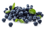 Blueberries-PNG-Photo
