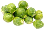 brussels_sprouts-full